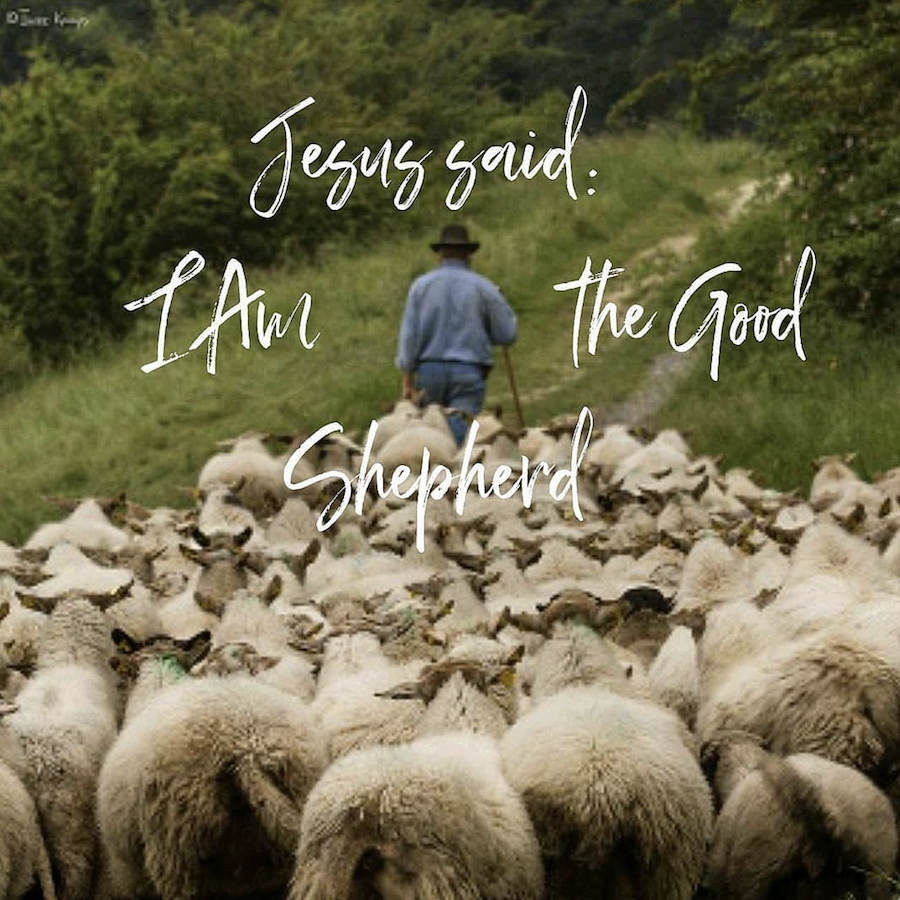LENT 2023 - Jesus Said: I Am The Good Shepherd, Part I